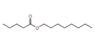 Octyl pentanoate